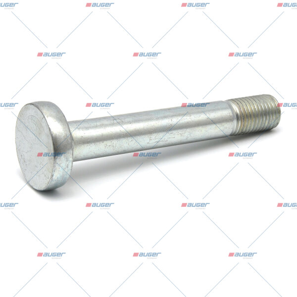 Schraube 202/M30x3,5 p.f. BPW 334105040