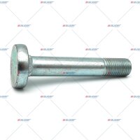Schraube M30x3,5/173 p.f. BPW 334105050