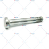 Schraube 202/M30x3,5 p.f. BPW 334105030