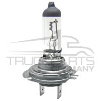 Halogenlampe H7