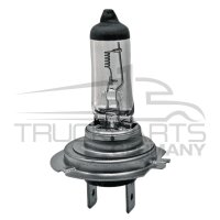 Halogenlampe H7