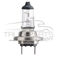 Halogenlampe H7