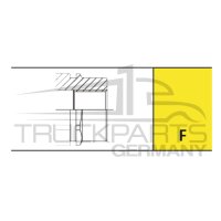 P206 Stecker IG 2x 1/2" BSP DN10