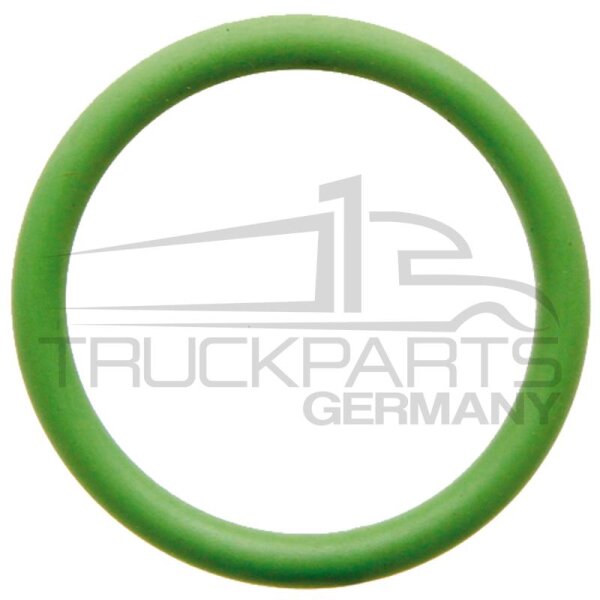 O-Ring