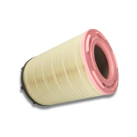 Luftfilter C 31 014