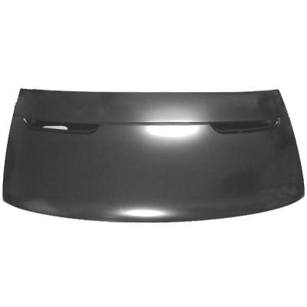 Motorhaube Daily 00-06