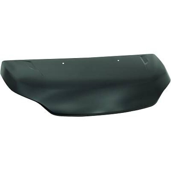 Motorhaube Daily 14->>
