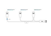 Splittkabel 7-PIN AMP auf 3x 4PIN MCP für LCR19...