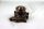 Wasserpumpe mit Dichtung  p.f. DAF 681460