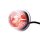 LED Modul klare Linse multicolor + Blinklicht 12-24v | 5m. Kabel